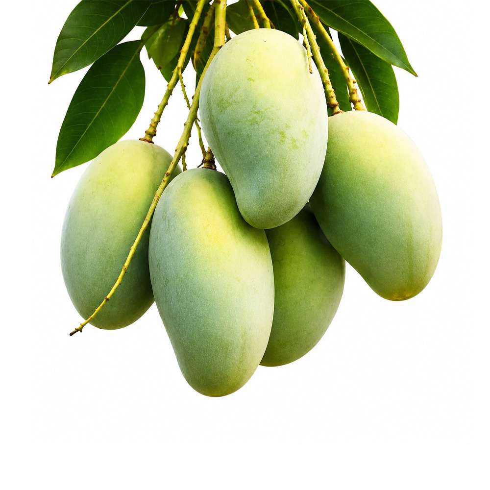 Amrapali Mango-10 kg